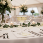 COPA CHAMPAÑA 260ML ELYSIA PASABAHCE